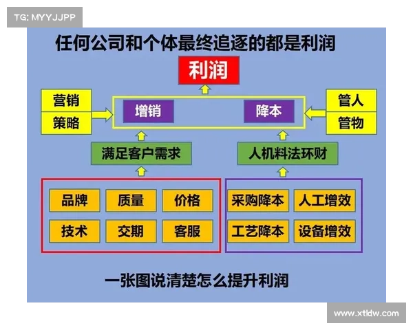 体育赛事商业模式运作机制与盈利策略深度解析 体育赛事商业模式运作机制与盈利策略深度解析