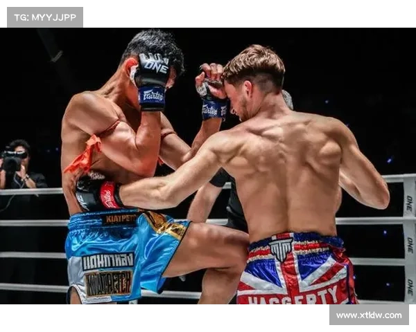 泰拳巅峰荣耀之战世界顶级英雄争霸万众瞩目